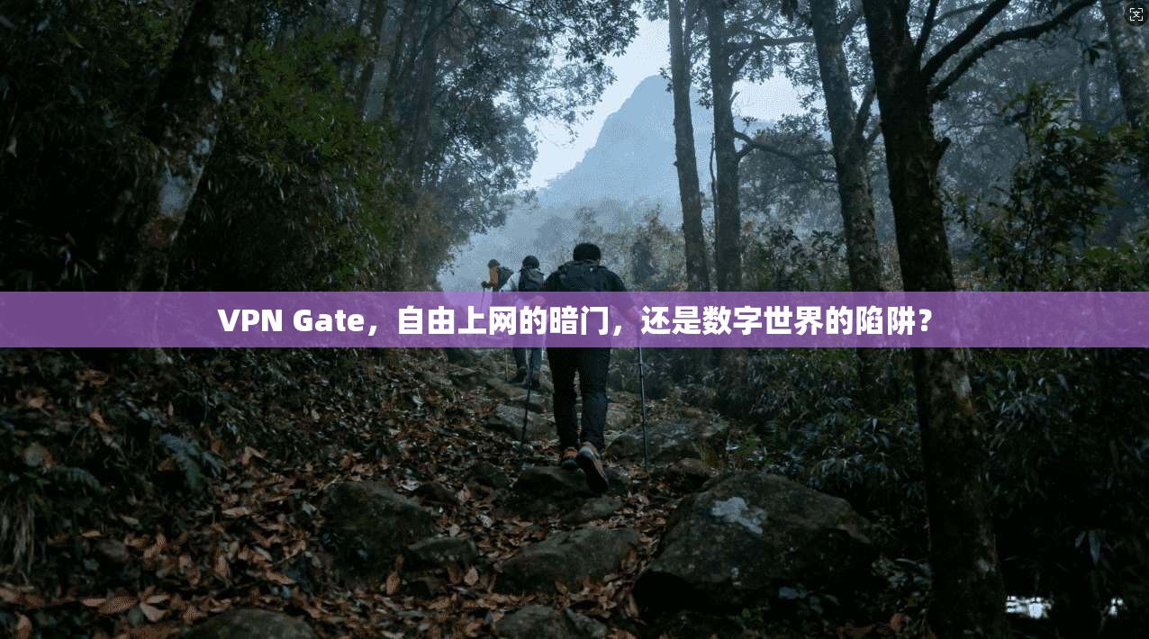 VPN Gate，自由上网的暗门，还是数字世界的陷阱？