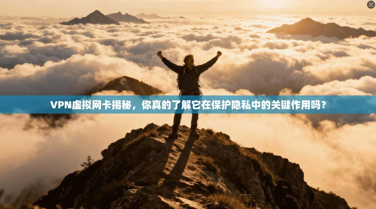 VPN虚拟网卡揭秘,你真的了解它在保护隐私中的关键作用吗?