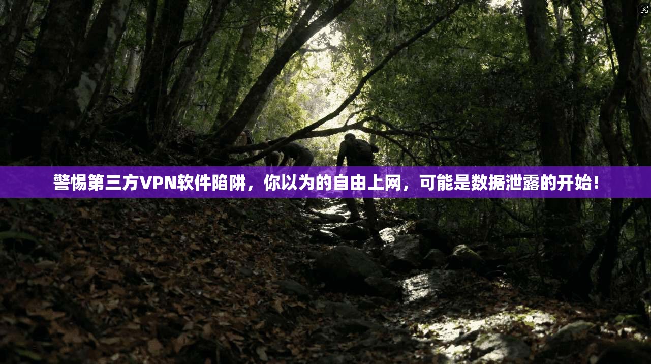 警惕第三方VPN软件陷阱，你以为的自由上网，可能是数据泄露的开始！