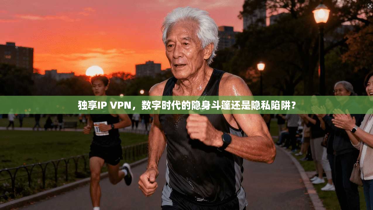 独享IP VPN，数字时代的隐身斗篷还是隐私陷阱？