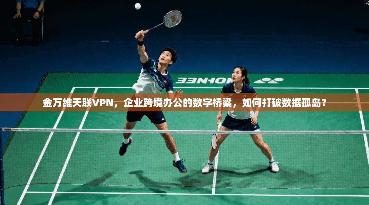 金万维天联VPN,企业跨境办公的数字桥梁,如何打破数据孤岛?