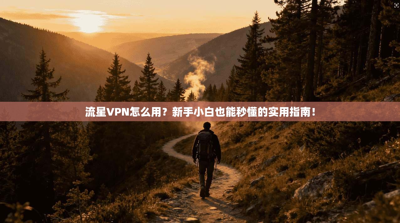 流星VPN怎么用？新手小白也能秒懂的实用指南！