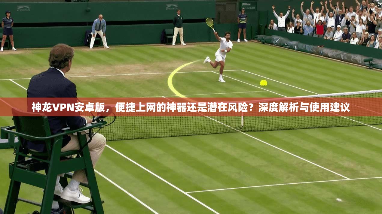 神龙VPN安卓版,便捷上网的神器还是潜在风险?深度解析与使用建议