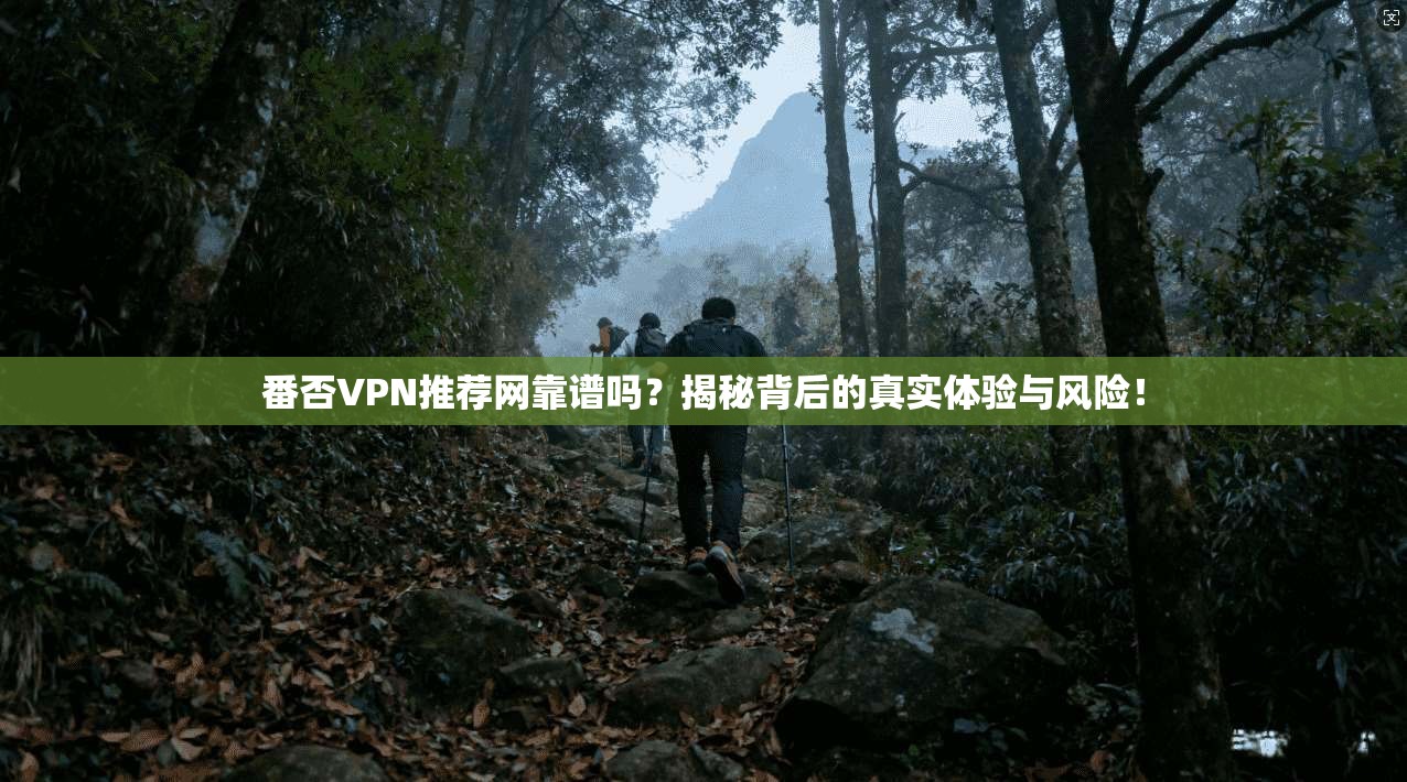 番否VPN推荐网靠谱吗?揭秘背后的真实体验与风险!