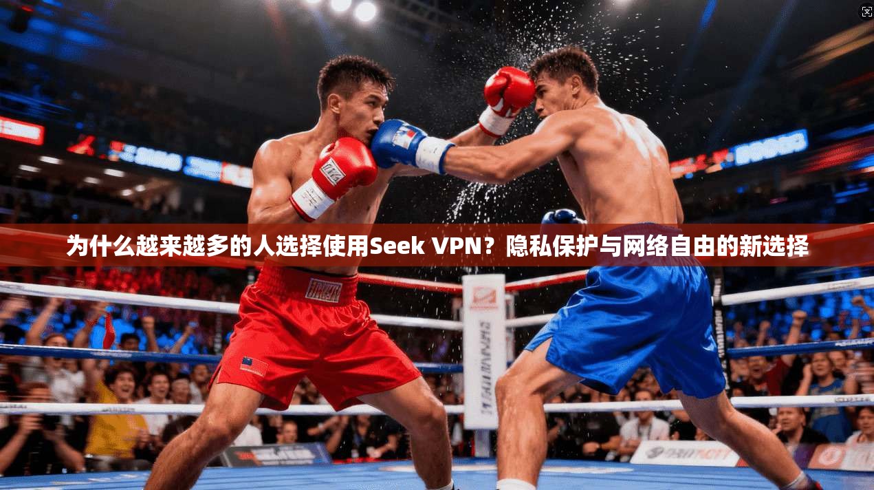 为什么越来越多的人选择使用Seek VPN?隐私保护与网络自由的新选择