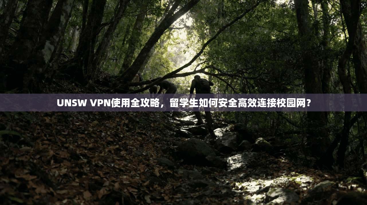 UNSW VPN使用全攻略,留学生如何安全高效连接校园网?
