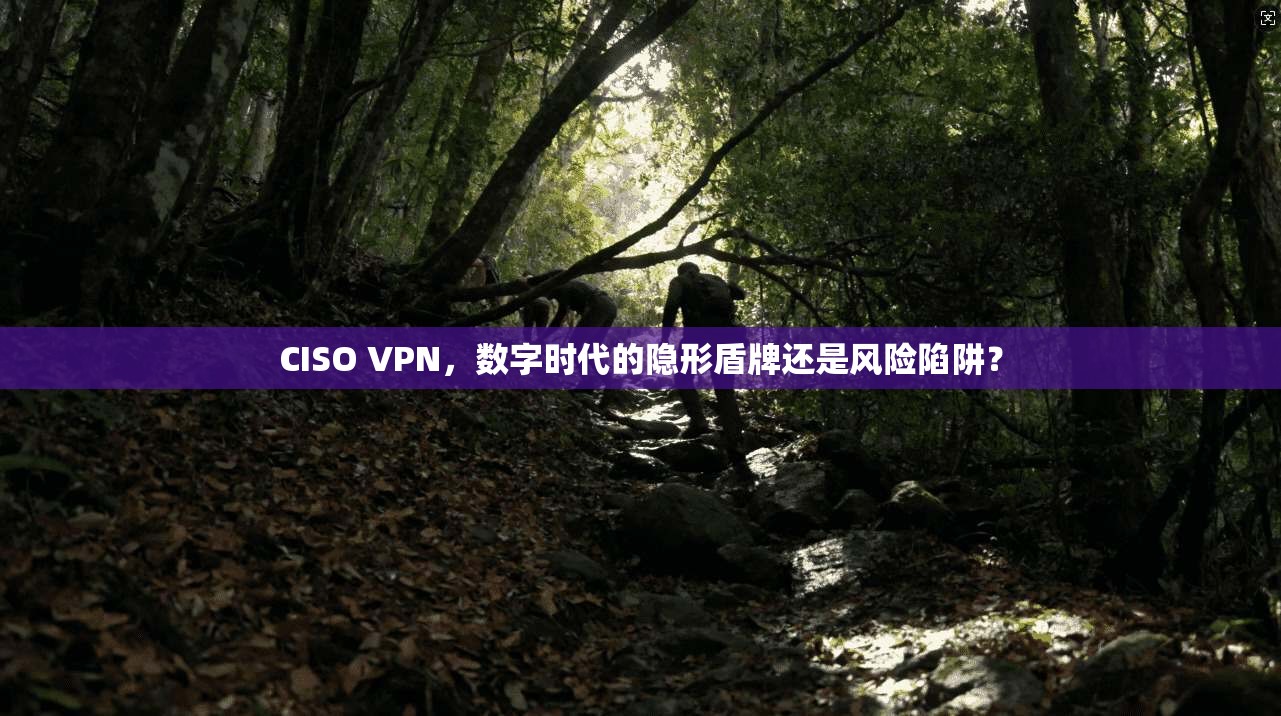CISO VPN，数字时代的隐形盾牌还是风险陷阱？