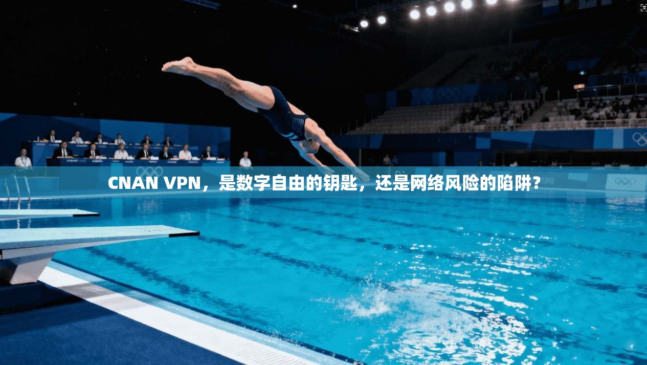 CNAN VPN，是数字自由的钥匙，还是网络风险的陷阱？