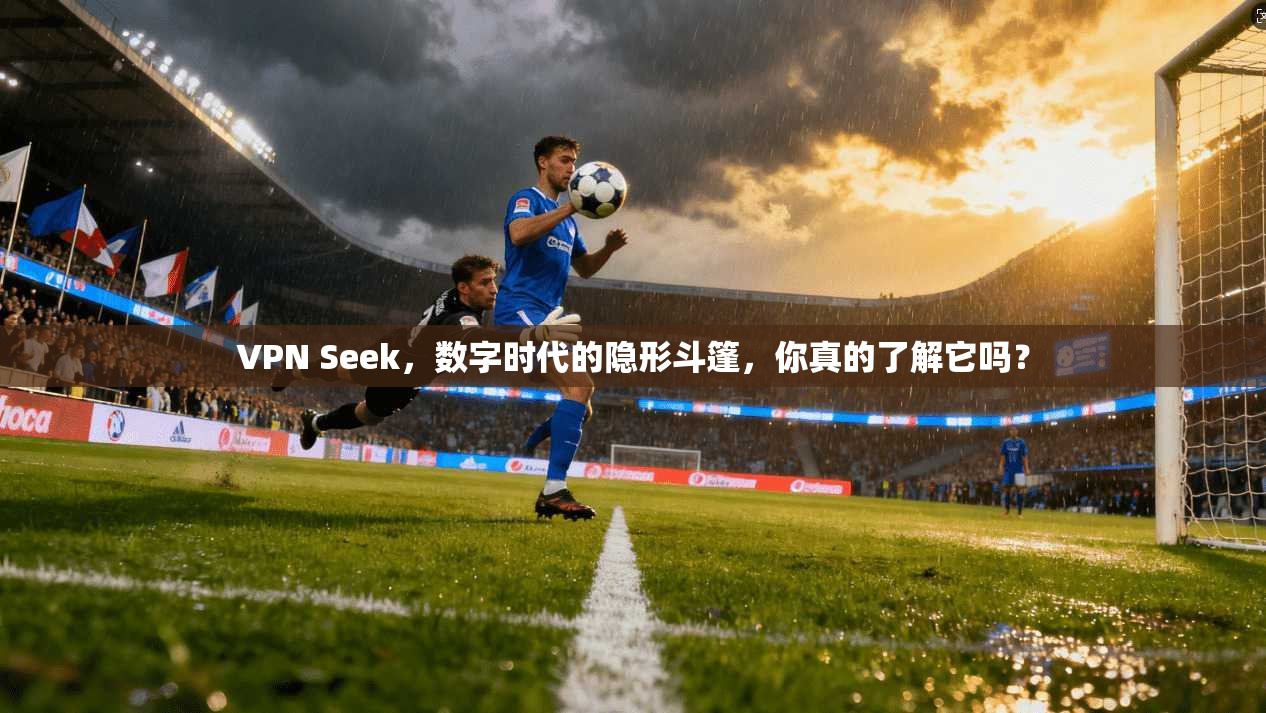 VPN Seek，数字时代的隐形斗篷，你真的了解它吗？