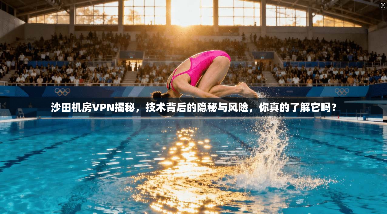 沙田机房VPN揭秘，技术背后的隐秘与风险，你真的了解它吗？