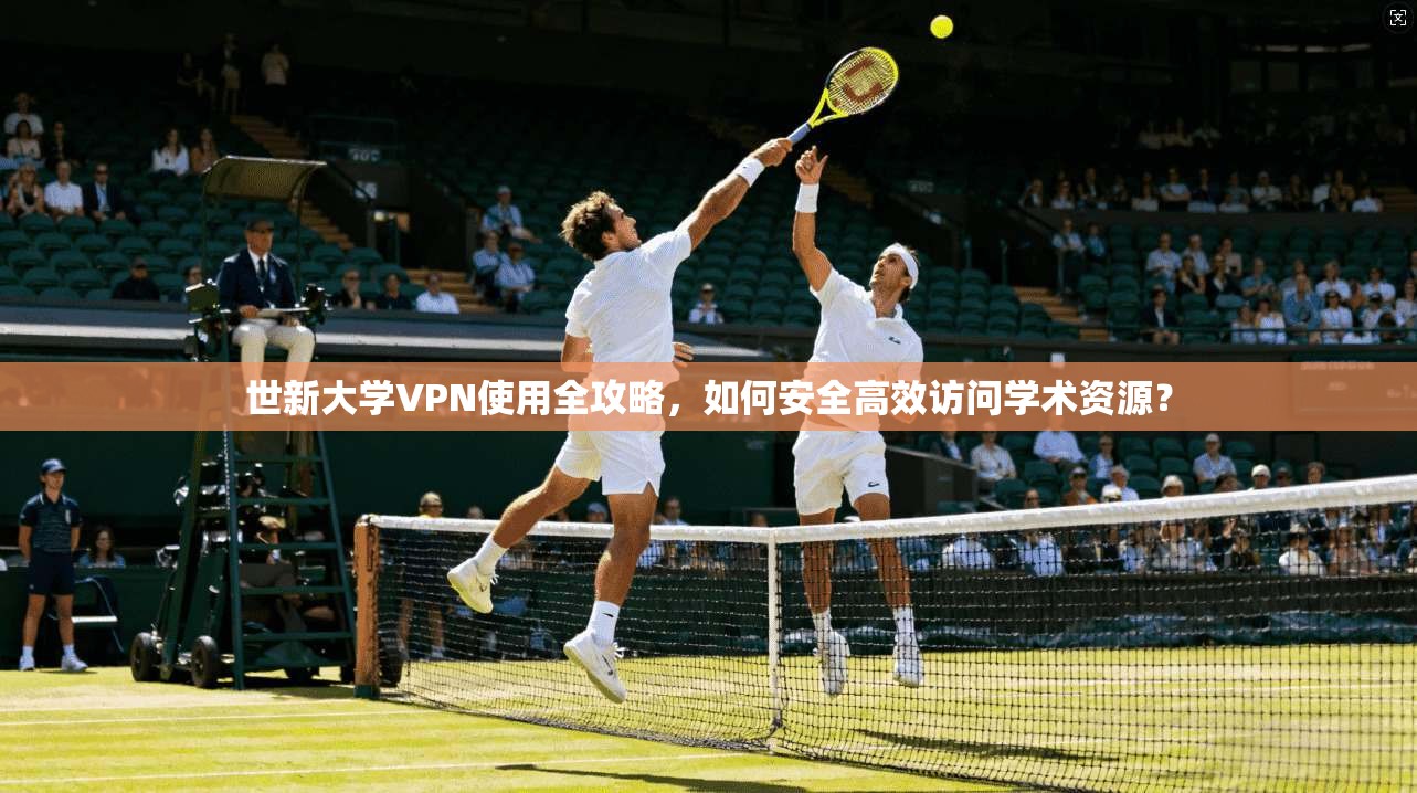 世新大学VPN使用全攻略，如何安全高效访问学术资源？