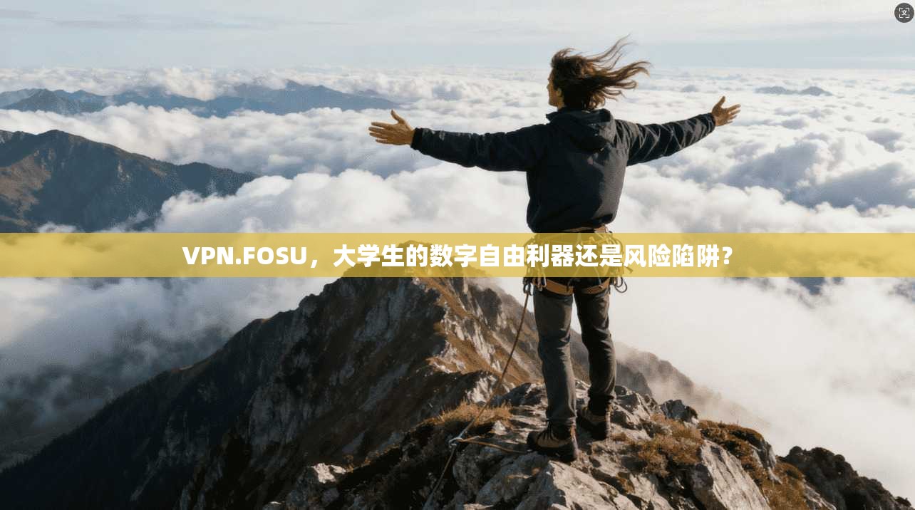 VPN.FOSU，大学生的数字自由利器还是风险陷阱？