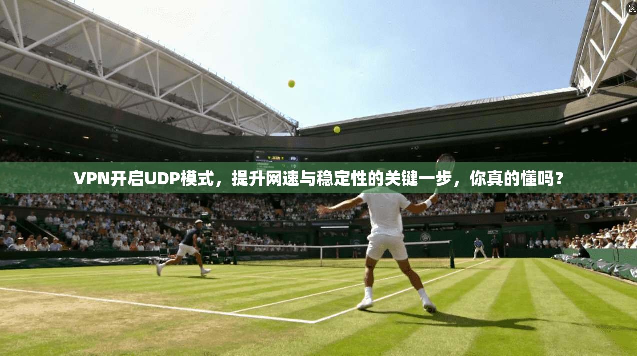 VPN开启UDP模式,提升网速与稳定性的关键一步,你真的懂吗?