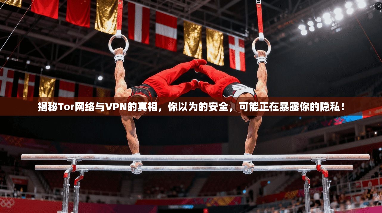 揭秘Tor网络与VPN的真相,你以为的安全,可能正在暴露你的隐私!