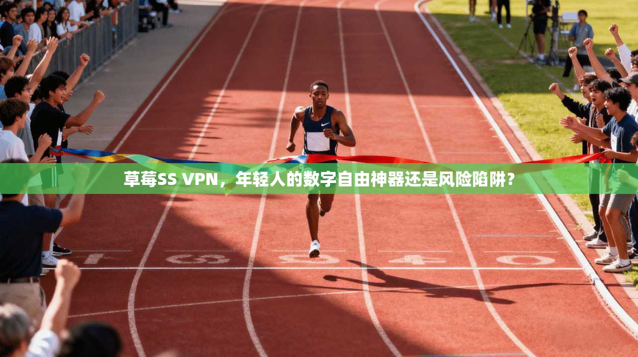 草莓SS VPN，年轻人的数字自由神器还是风险陷阱？