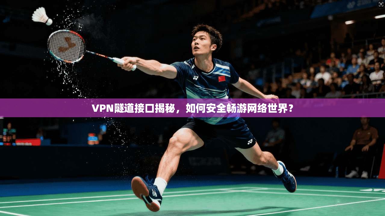 VPN隧道接口揭秘，如何安全畅游网络世界？