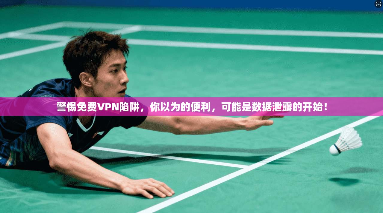 警惕免费VPN陷阱,你以为的便利,可能是数据泄露的开始!