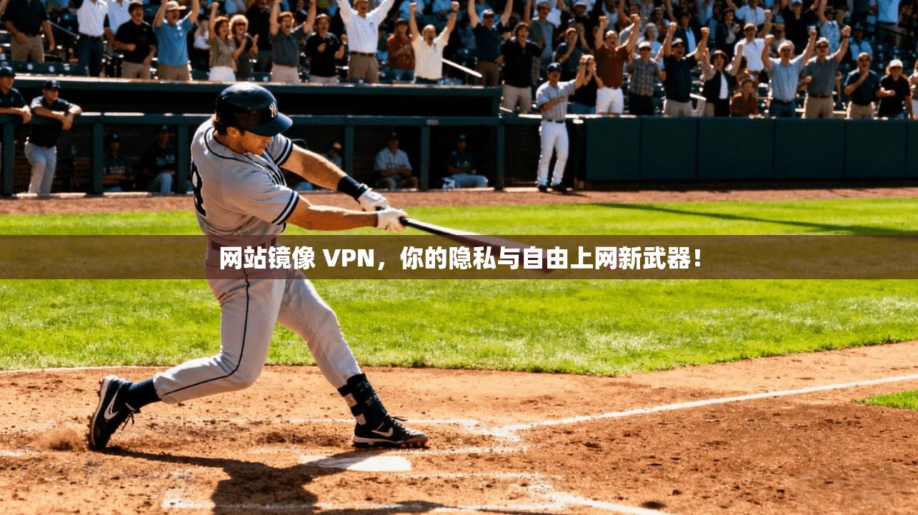 网站镜像 VPN,你的隐私与自由上网新武器!