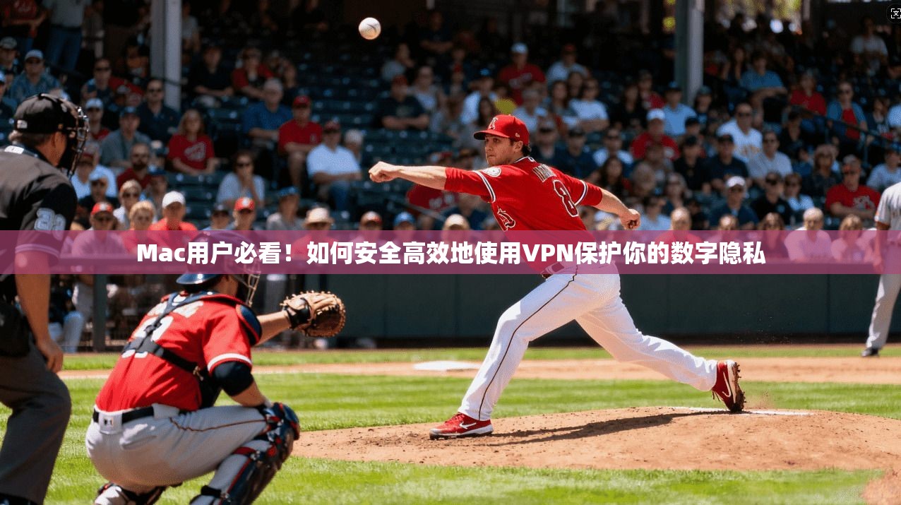 Mac用户必看！如何安全高效地使用VPN保护你的数字隐私