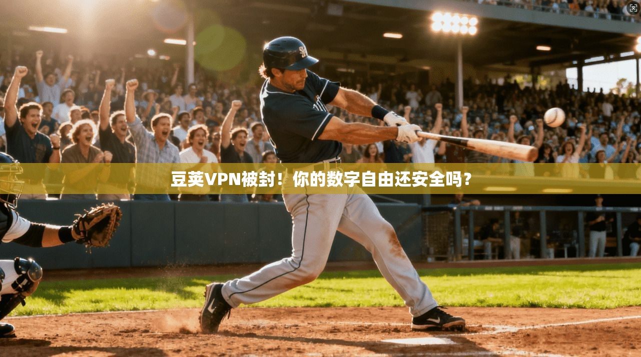 豆荚VPN被封!你的数字自由还安全吗? 豆荚VPN被封!你的数字自由还安全吗?