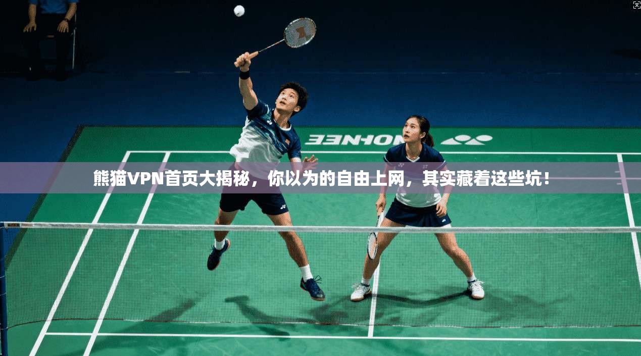 熊猫VPN首页大揭秘，你以为的自由上网，其实藏着这些坑！