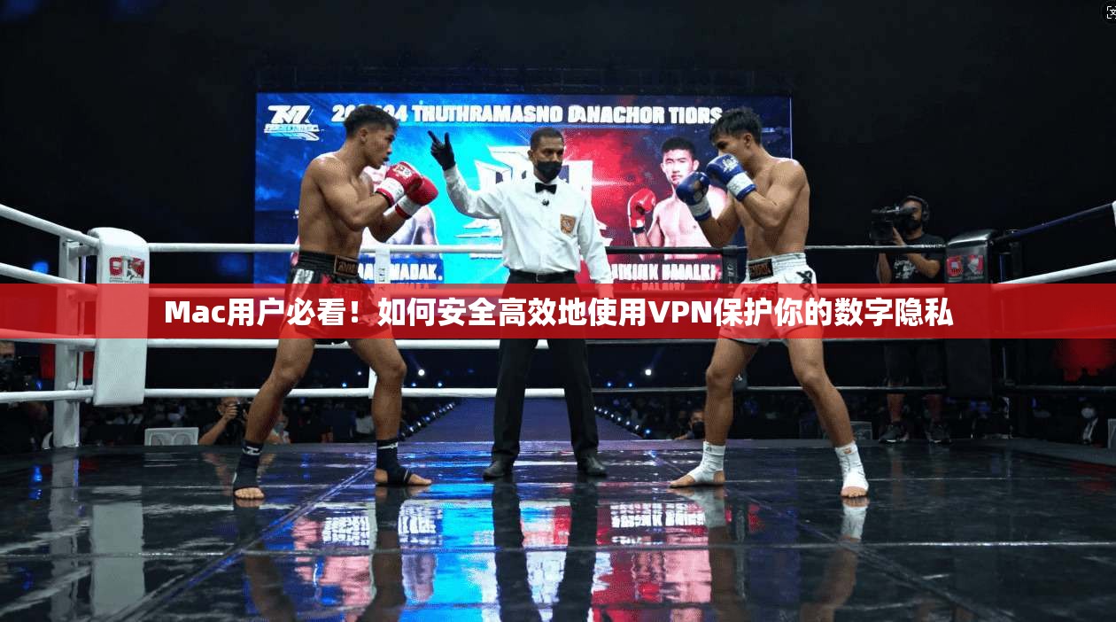 Mac用户必看！如何安全高效地使用VPN保护你的数字隐私