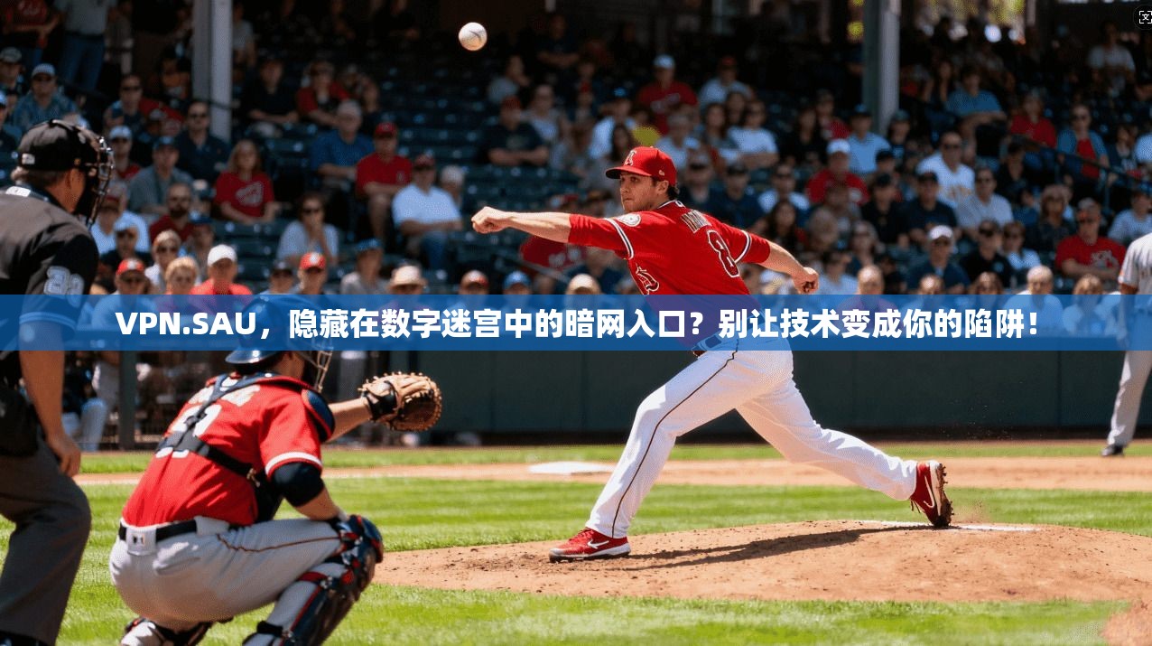VPN.SAU，隐藏在数字迷宫中的暗网入口？别让技术变成你的陷阱！