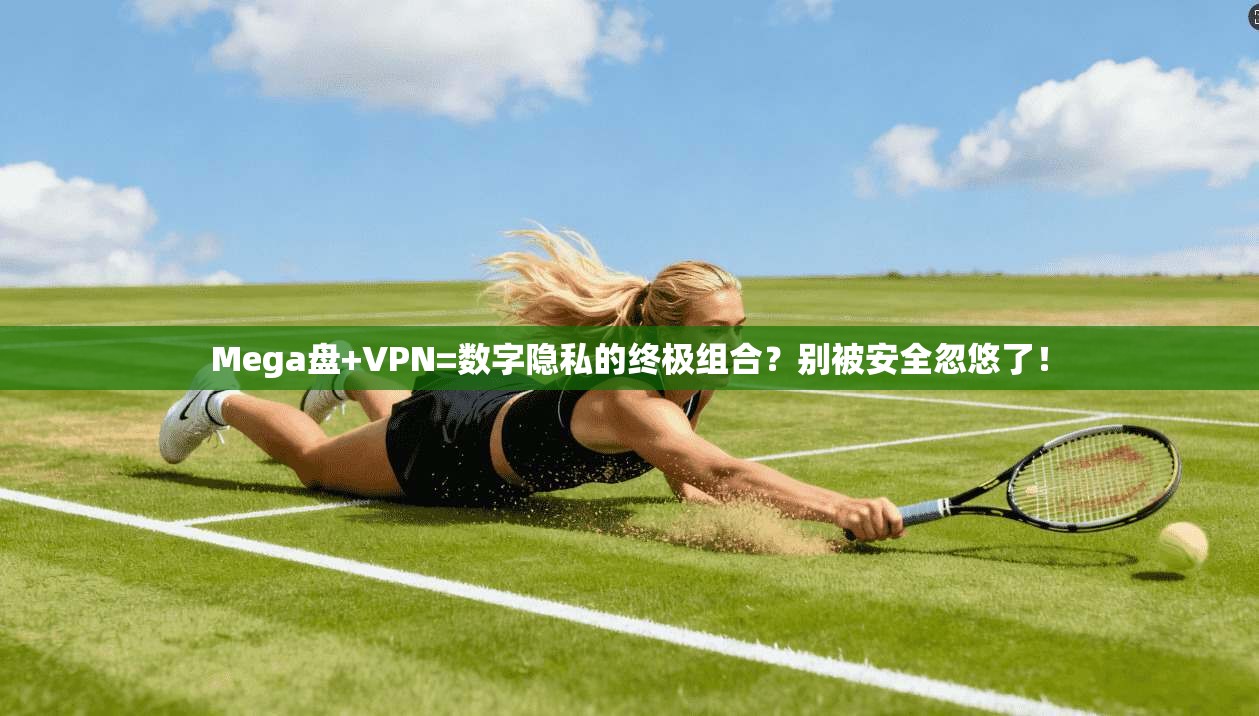 Mega盘+VPN=数字隐私的终极组合?别被安全忽悠了!