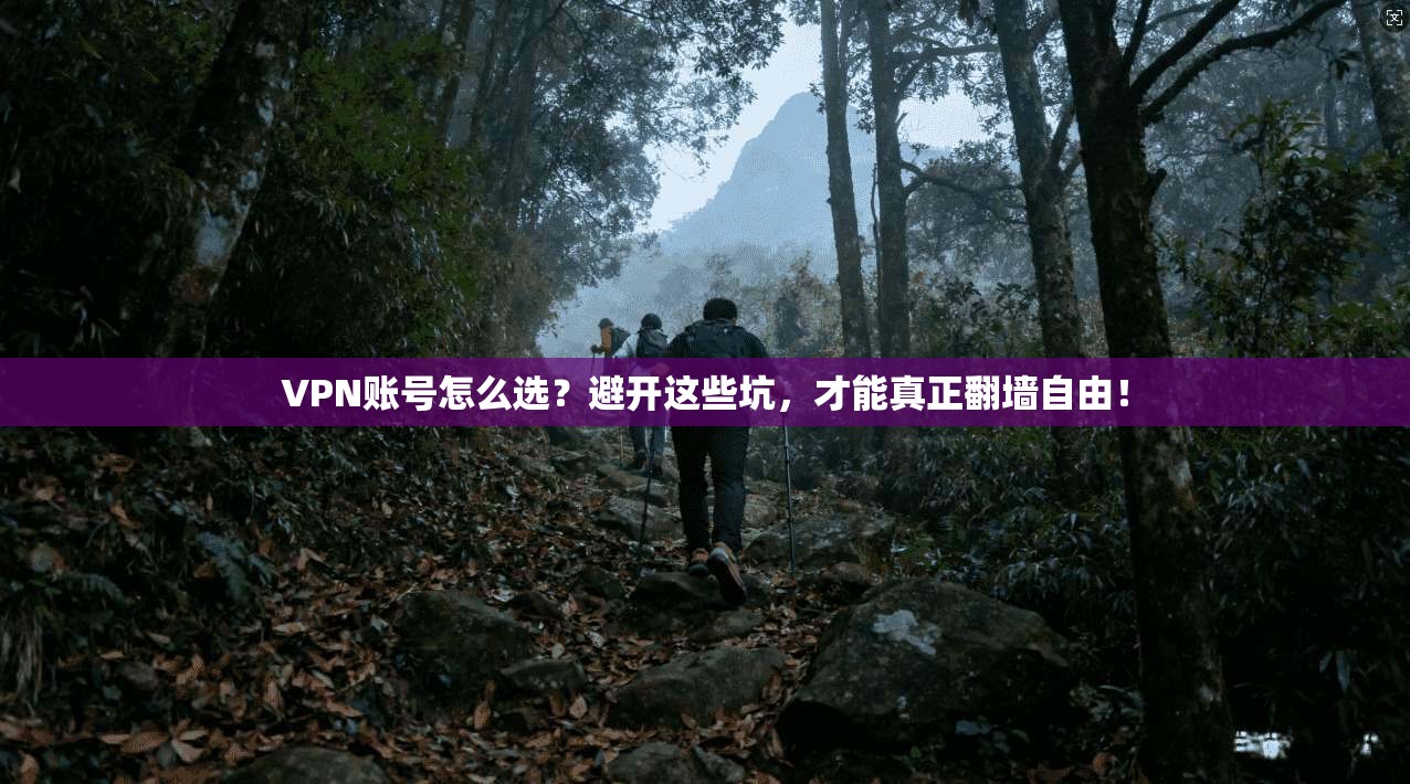 VPN账号怎么选？避开这些坑，才能真正翻墙自由！