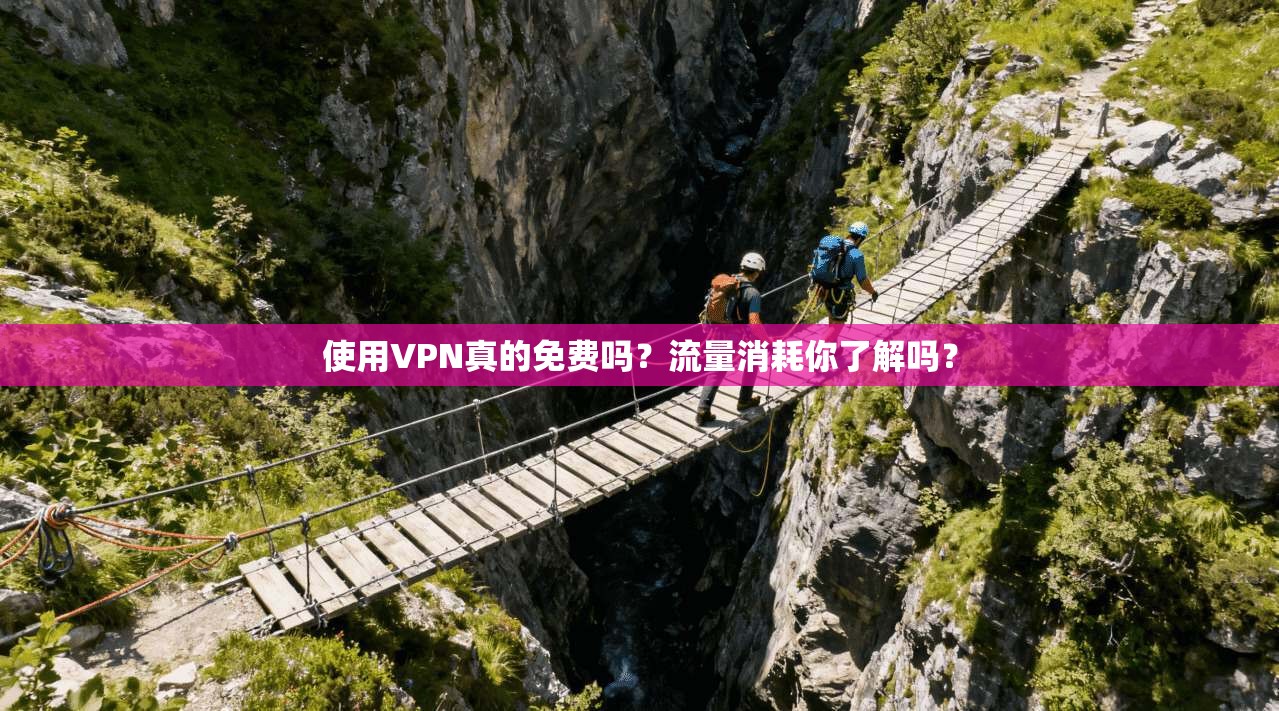 使用VPN真的免费吗？流量消耗你了解吗？
