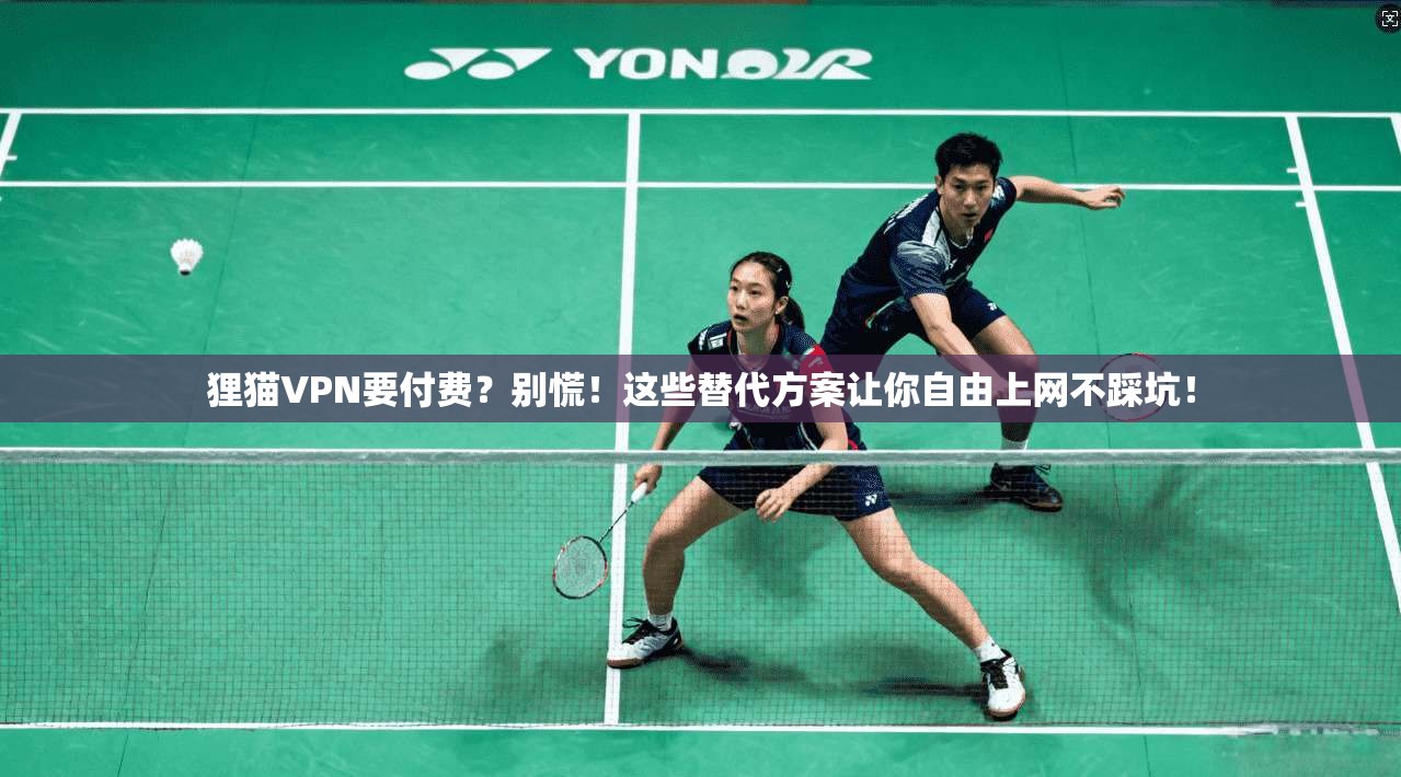 狸猫VPN要付费？别慌！这些替代方案让你自由上网不踩坑！
