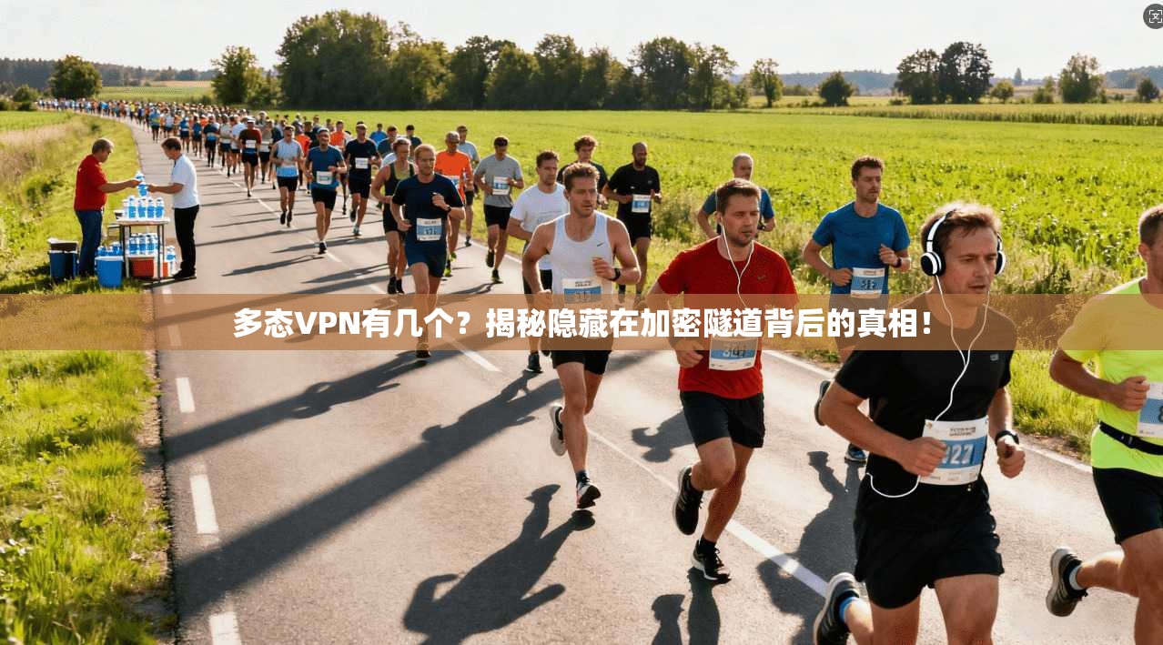 多态VPN有几个?揭秘隐藏在加密隧道背后的真相!