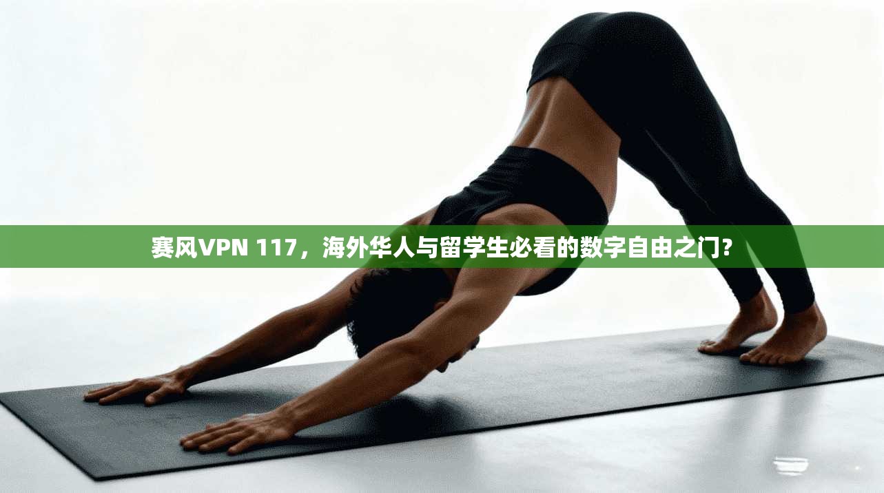 赛风VPN 117，海外华人与留学生必看的数字自由之门？