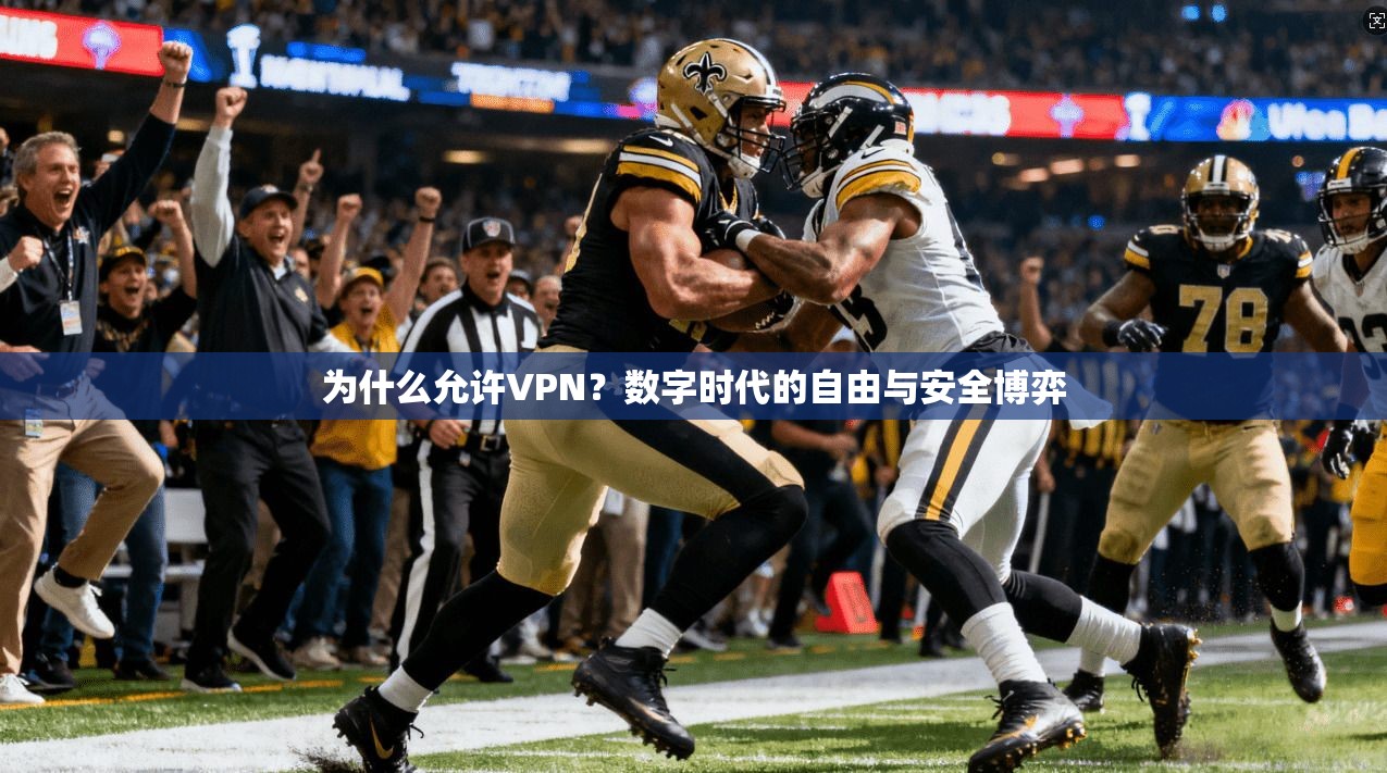 为什么允许VPN？数字时代的自由与安全博弈