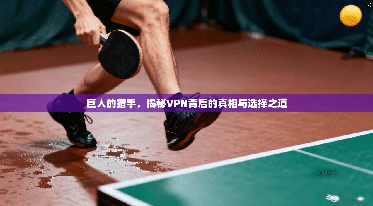 巨人的猎手,揭秘VPN背后的真相与选择之道