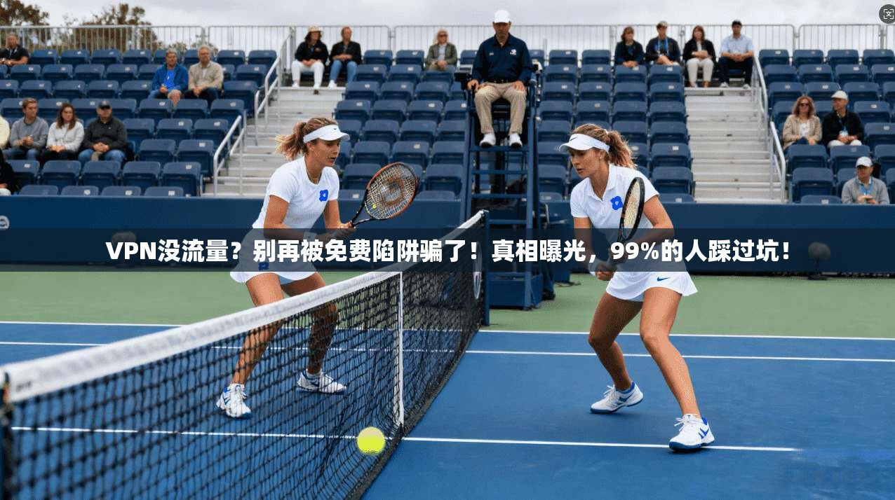 VPN没流量？别再被免费陷阱骗了！真相曝光，99%的人踩过坑！