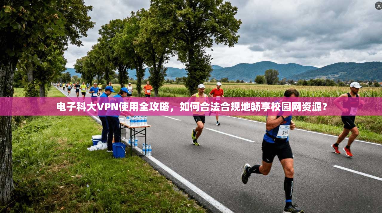 电子科大VPN使用全攻略，如何合法合规地畅享校园网资源？