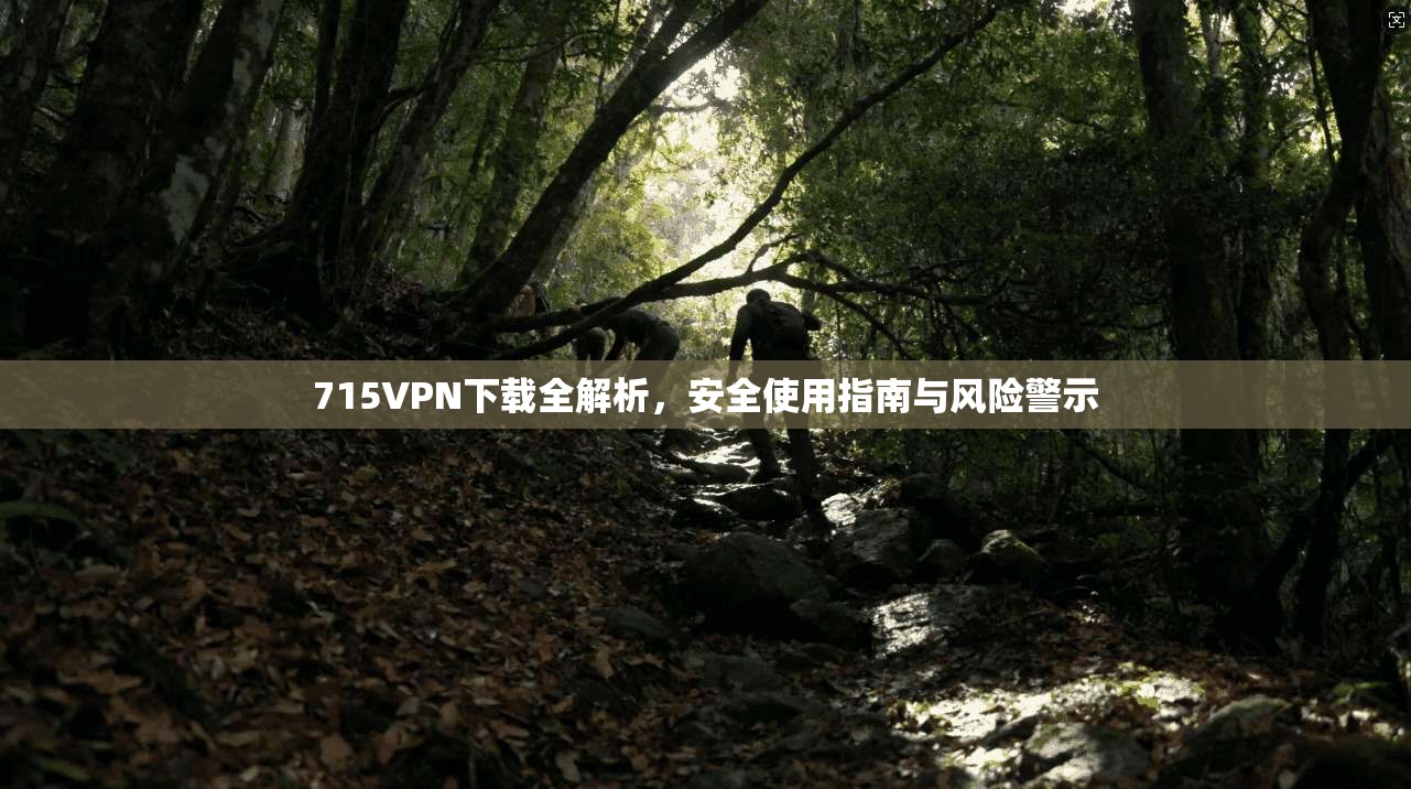 715VPN下载全解析，安全使用指南与风险警示