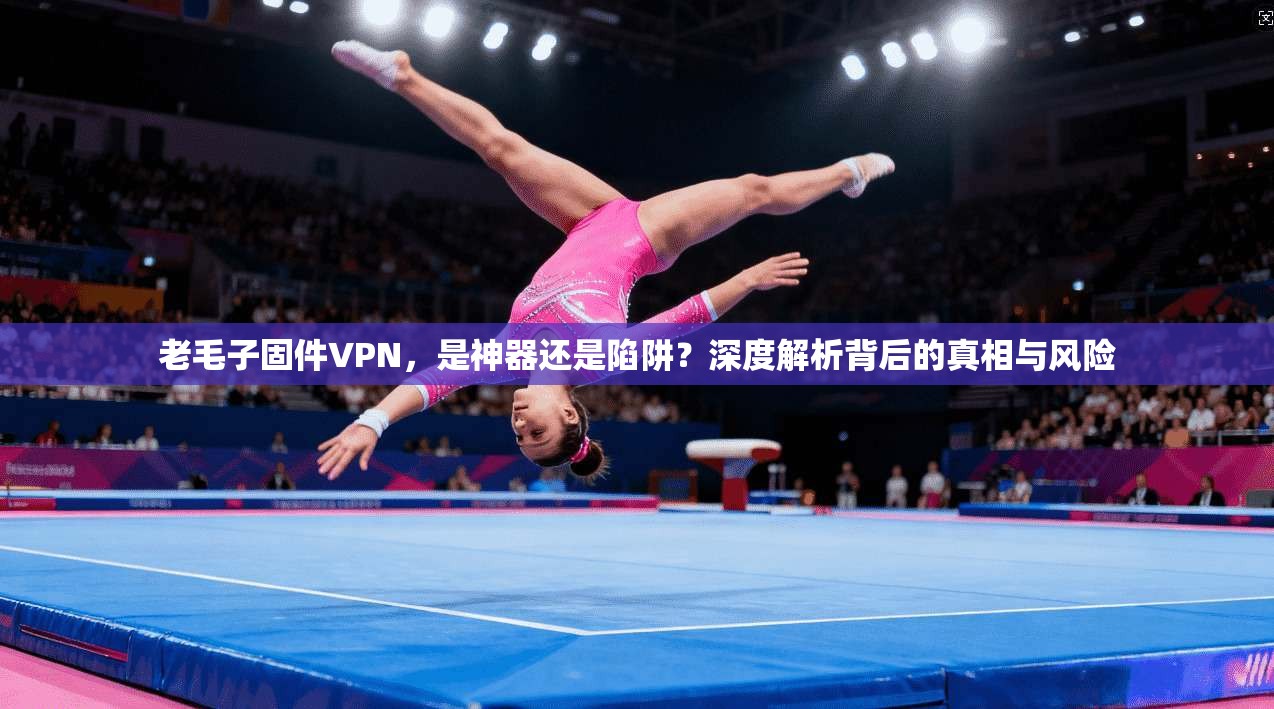 老毛子固件VPN，是神器还是陷阱？深度解析背后的真相与风险