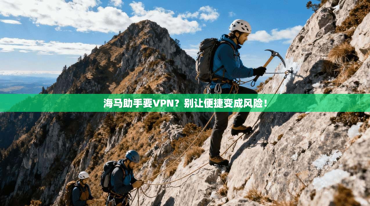 海马助手要VPN?别让便捷变成风险!