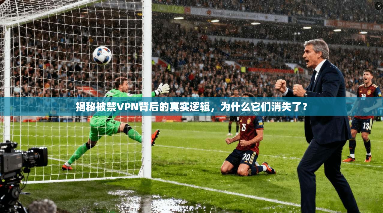 揭秘被禁VPN背后的真实逻辑，为什么它们消失了？