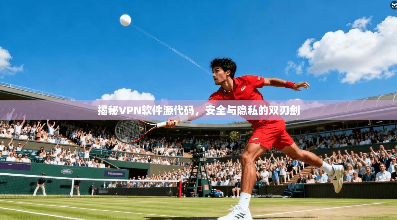 揭秘VPN软件源代码，安全与隐私的双刃剑