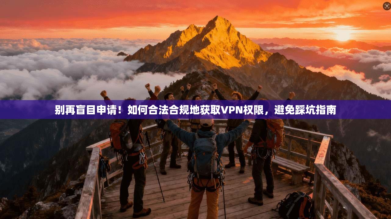 别再盲目申请!如何合法合规地获取VPN权限,避免踩坑指南