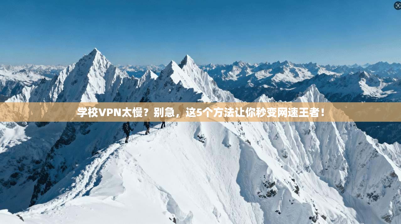 学校VPN太慢？别急，这5个方法让你秒变网速王者！
