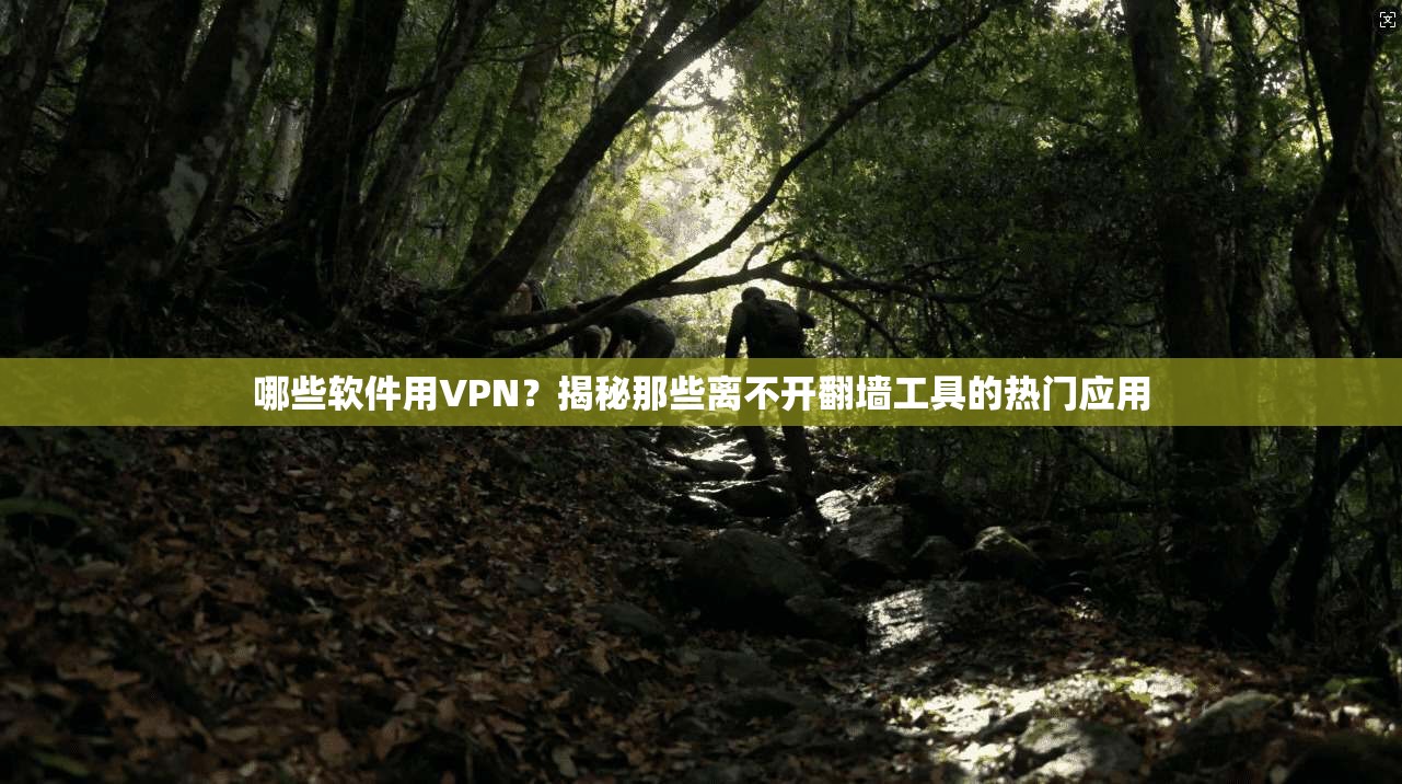 哪些软件用VPN?揭秘那些离不开翻墙工具的热门应用