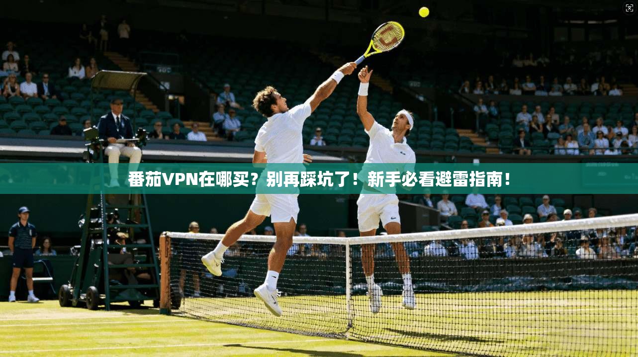番茄VPN在哪买？别再踩坑了！新手必看避雷指南！