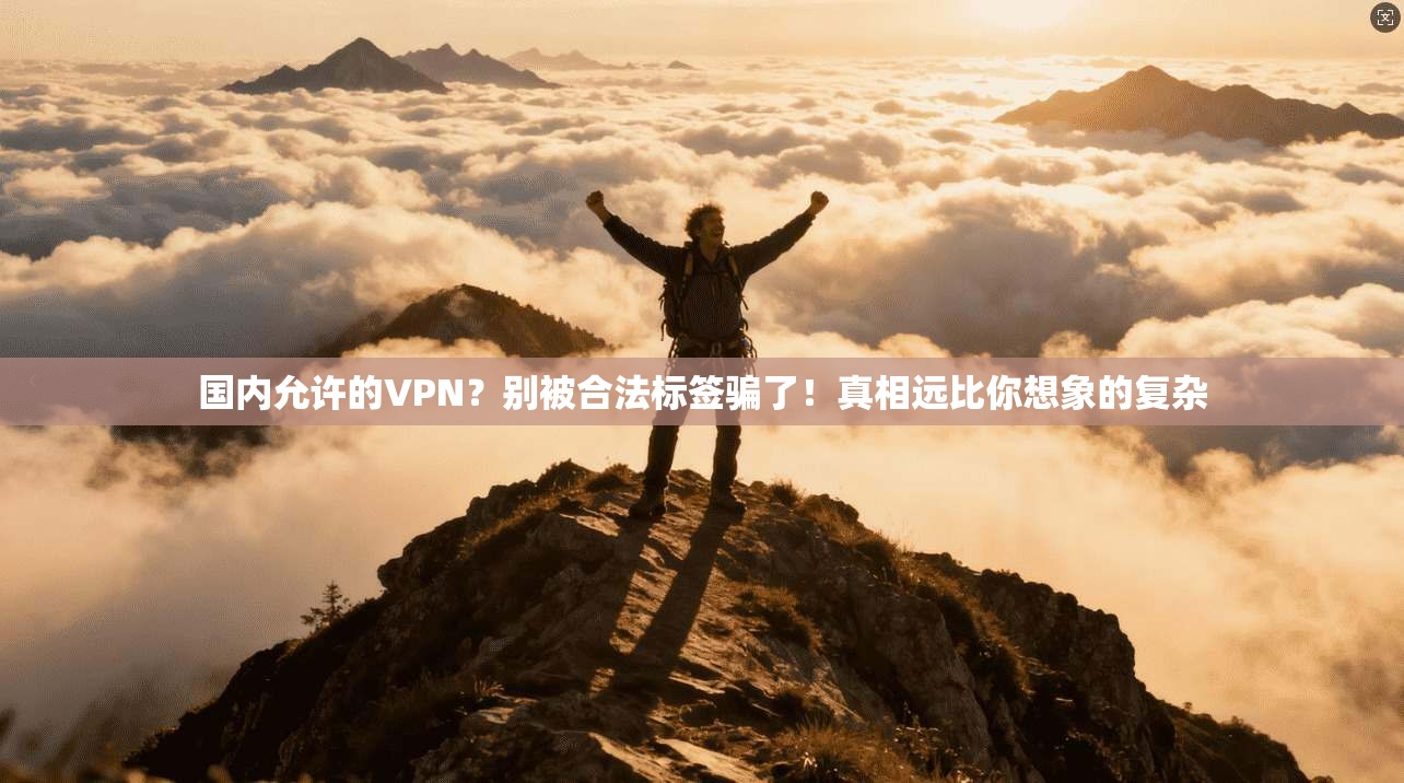 国内允许的VPN？别被合法标签骗了！真相远比你想象的复杂