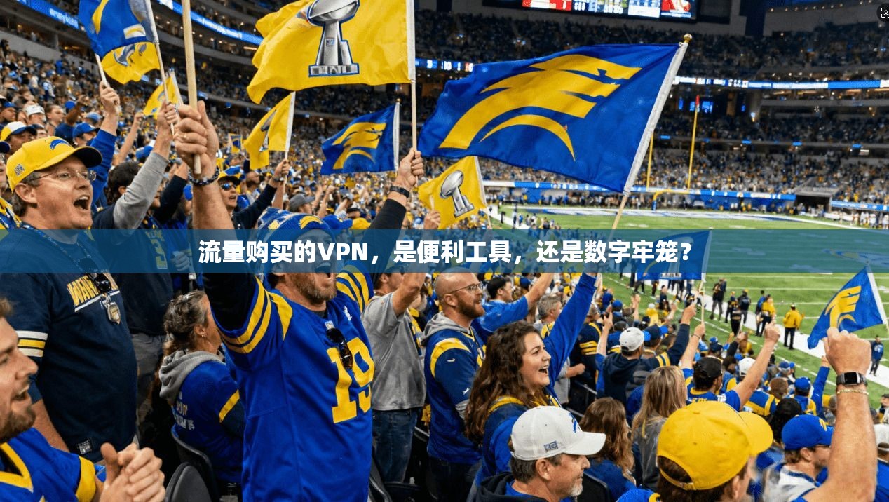 流量购买的VPN，是便利工具，还是数字牢笼？