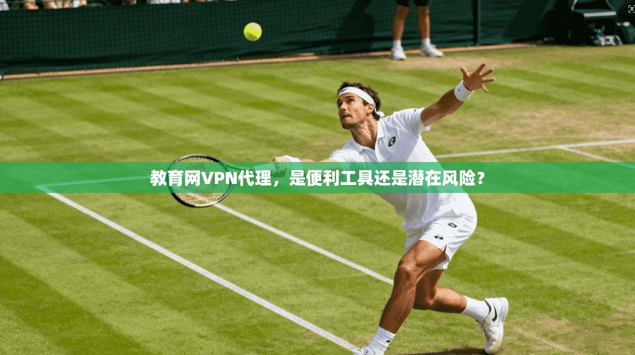 教育网VPN代理,是便利工具还是潜在风险?