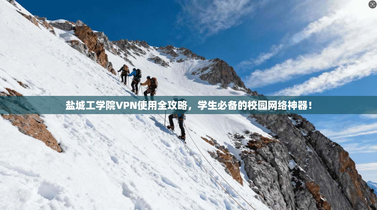 盐城工学院VPN使用全攻略,学生必备的校园网络神器!
